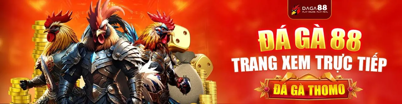 Hình ảnh đá gà trực tiếp tại 66clup